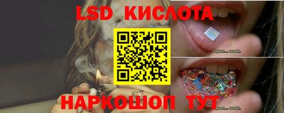 Альфа ПВП Славгород