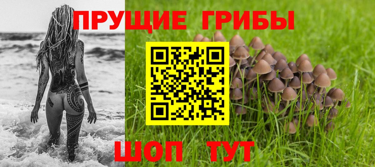 Псилоцибиновые грибы Psilocybe Рузаевка
