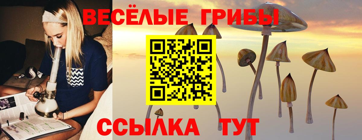 Галлюциногенные грибы Magic Shrooms  Вход с VPN  Рузаевка  Галлюциногенные грибы ЛСД 